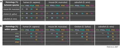 Profilin Isoforms in Health and Disease – All the Same but Different